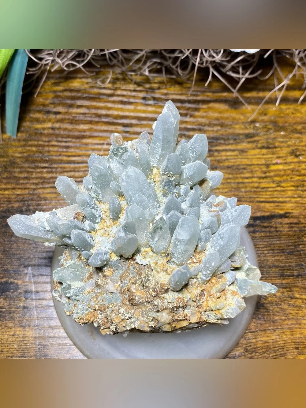 N/A absolutely stunning